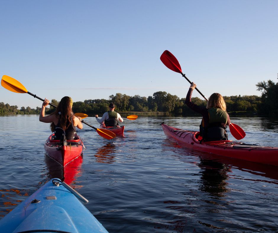 ideas de negocios innovadores